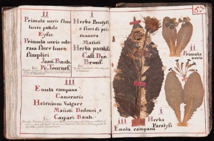 Anteprima dell'oggetto