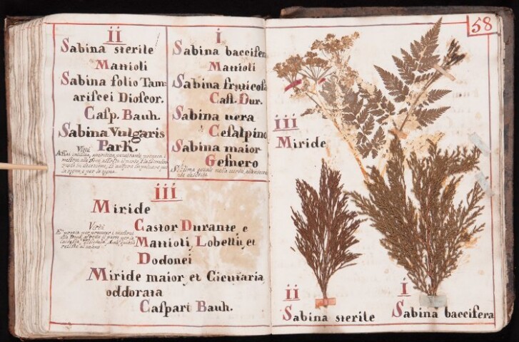 Anteprima dell'oggetto