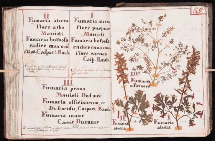 Anteprima dell'oggetto