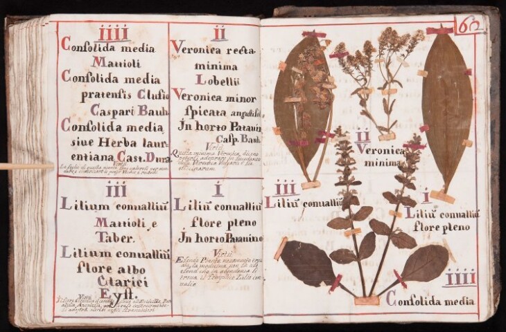 Anteprima dell'oggetto