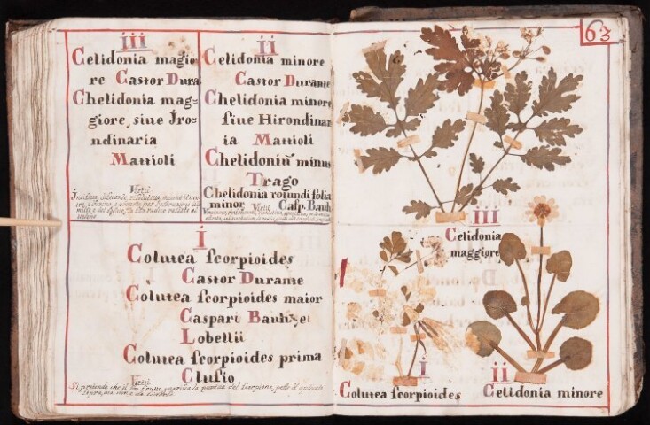 Anteprima dell'oggetto