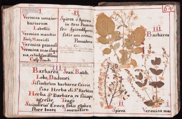 Anteprima dell'oggetto