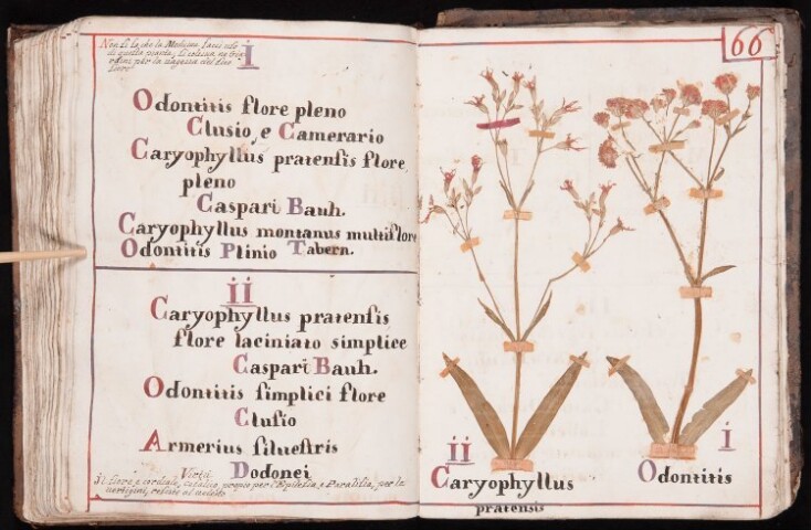 Anteprima dell'oggetto