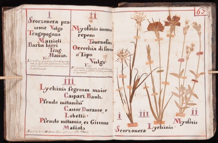 Anteprima dell'oggetto