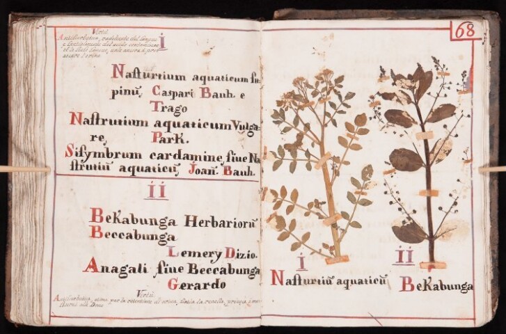 Anteprima dell'oggetto