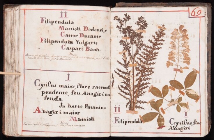 Anteprima dell'oggetto