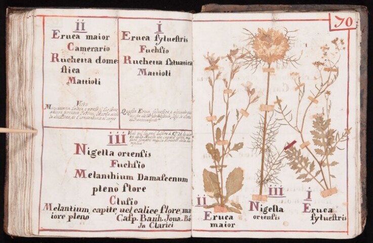 Anteprima dell'oggetto