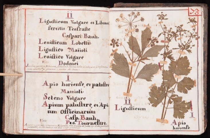 Anteprima dell'oggetto