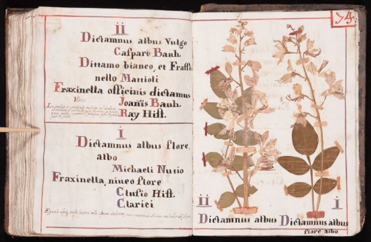 Anteprima dell'oggetto