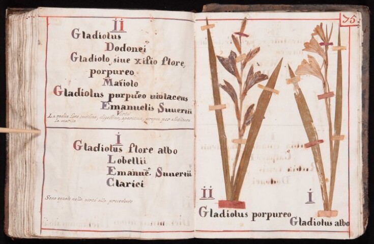 Anteprima dell'oggetto