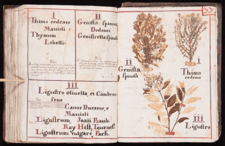 Anteprima dell'oggetto