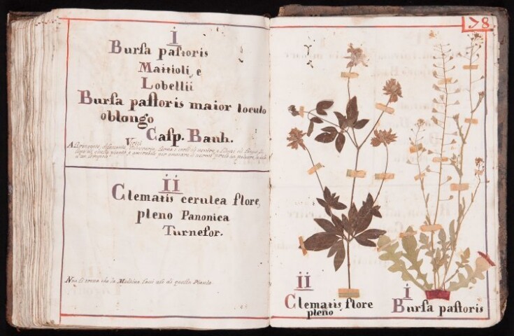 Anteprima dell'oggetto