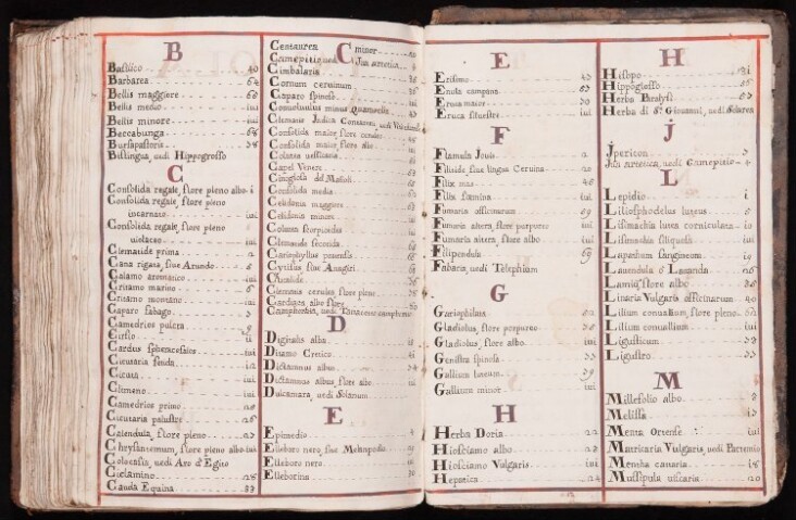 Anteprima dell'oggetto