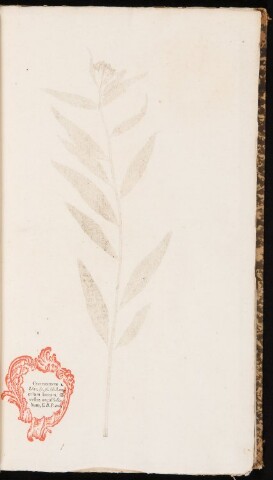 Anteprima dell'oggetto