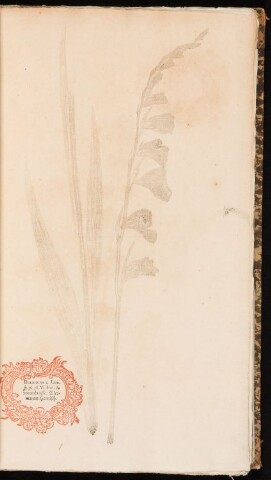 Anteprima dell'oggetto