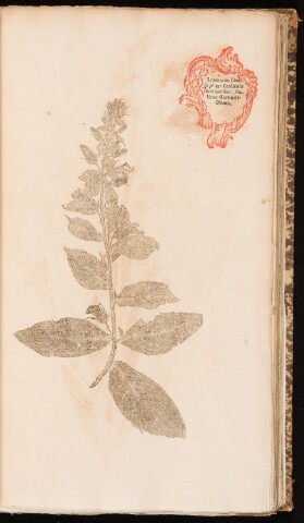 Anteprima dell'oggetto