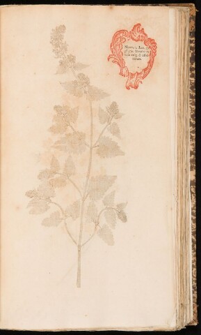 Anteprima dell'oggetto