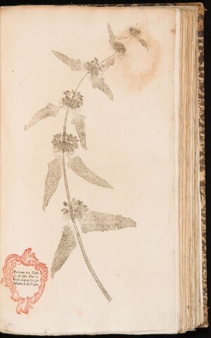 Anteprima dell'oggetto