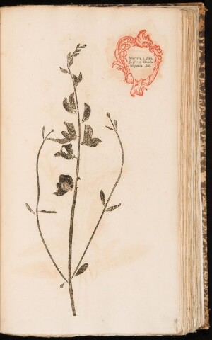 Anteprima dell'oggetto