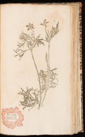 Anteprima dell'oggetto