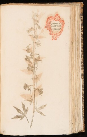 Anteprima dell'oggetto