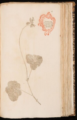 Anteprima dell'oggetto