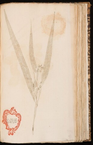 Anteprima dell'oggetto