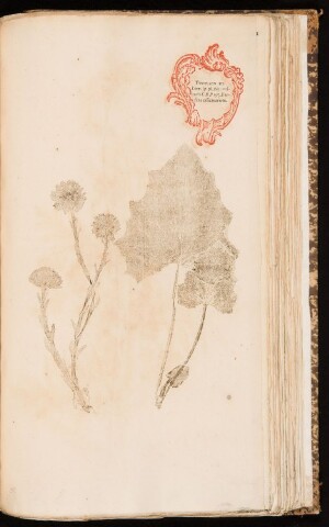 Anteprima dell'oggetto