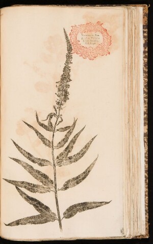 Anteprima dell'oggetto