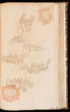 Anteprima dell'oggetto