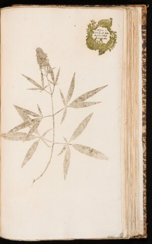 Anteprima dell'oggetto