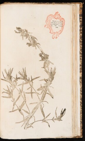 Anteprima dell'oggetto