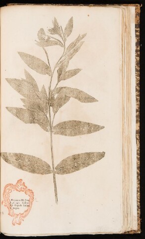 Anteprima dell'oggetto