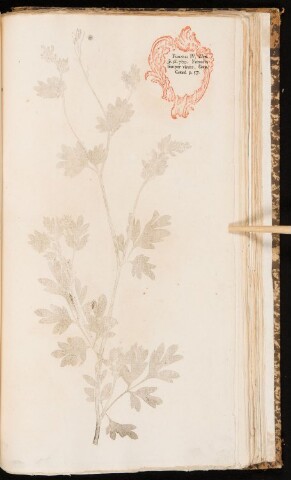 Anteprima dell'oggetto