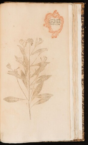 Anteprima dell'oggetto