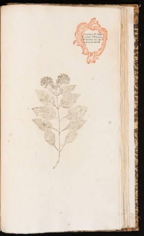 Anteprima dell'oggetto