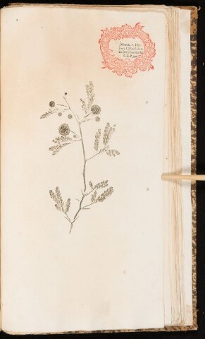 Anteprima dell'oggetto