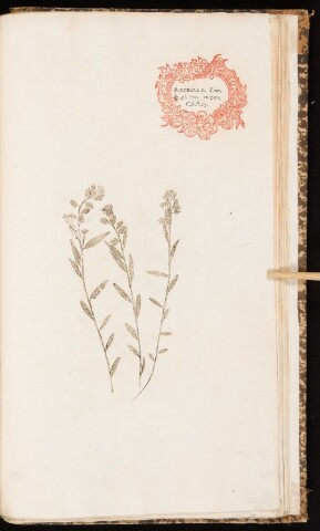 Anteprima dell'oggetto