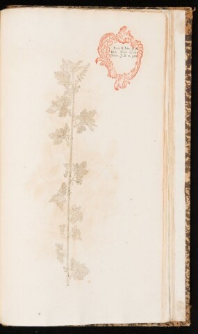 Anteprima dell'oggetto