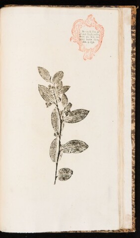 Anteprima dell'oggetto