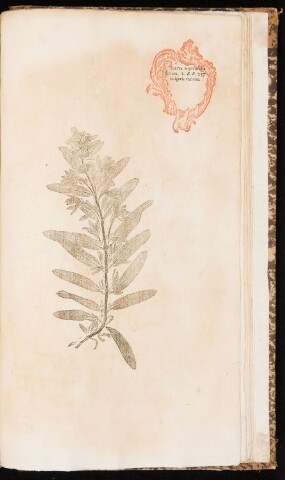 Anteprima dell'oggetto