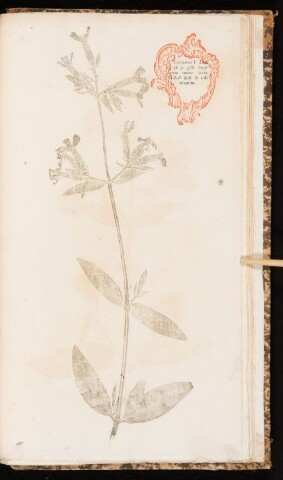 Anteprima dell'oggetto