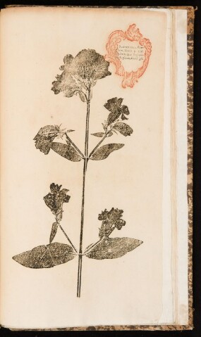 Anteprima dell'oggetto