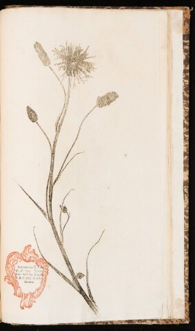 Anteprima dell'oggetto