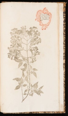 Anteprima dell'oggetto