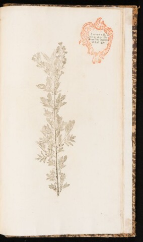 Anteprima dell'oggetto