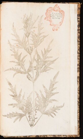 Anteprima dell'oggetto