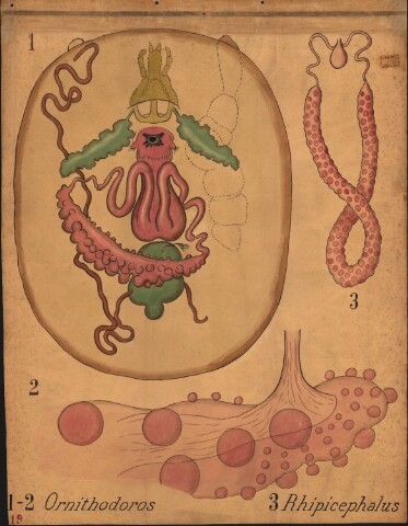 Anteprima dell'oggetto