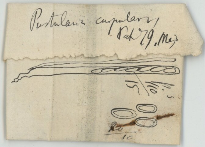 Anteprima dell'oggetto