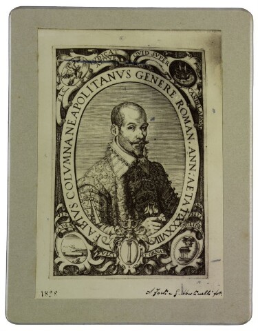 Anteprima dell'oggetto